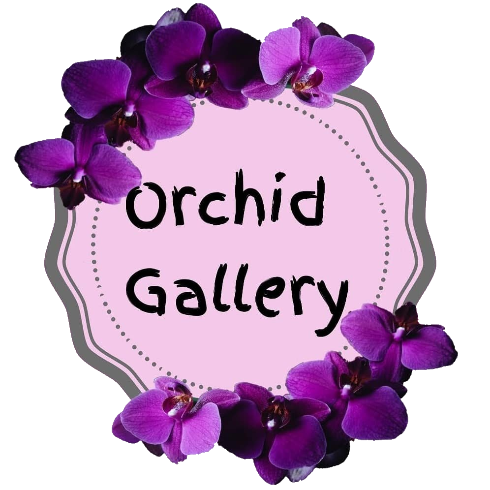 Orchid Gallery